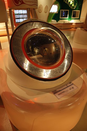 胎儿发育（球）.jpg