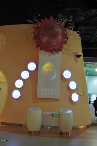 2306受精过程.jpg