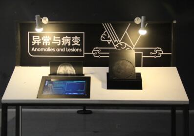 QQ截图20181115145528.jpg